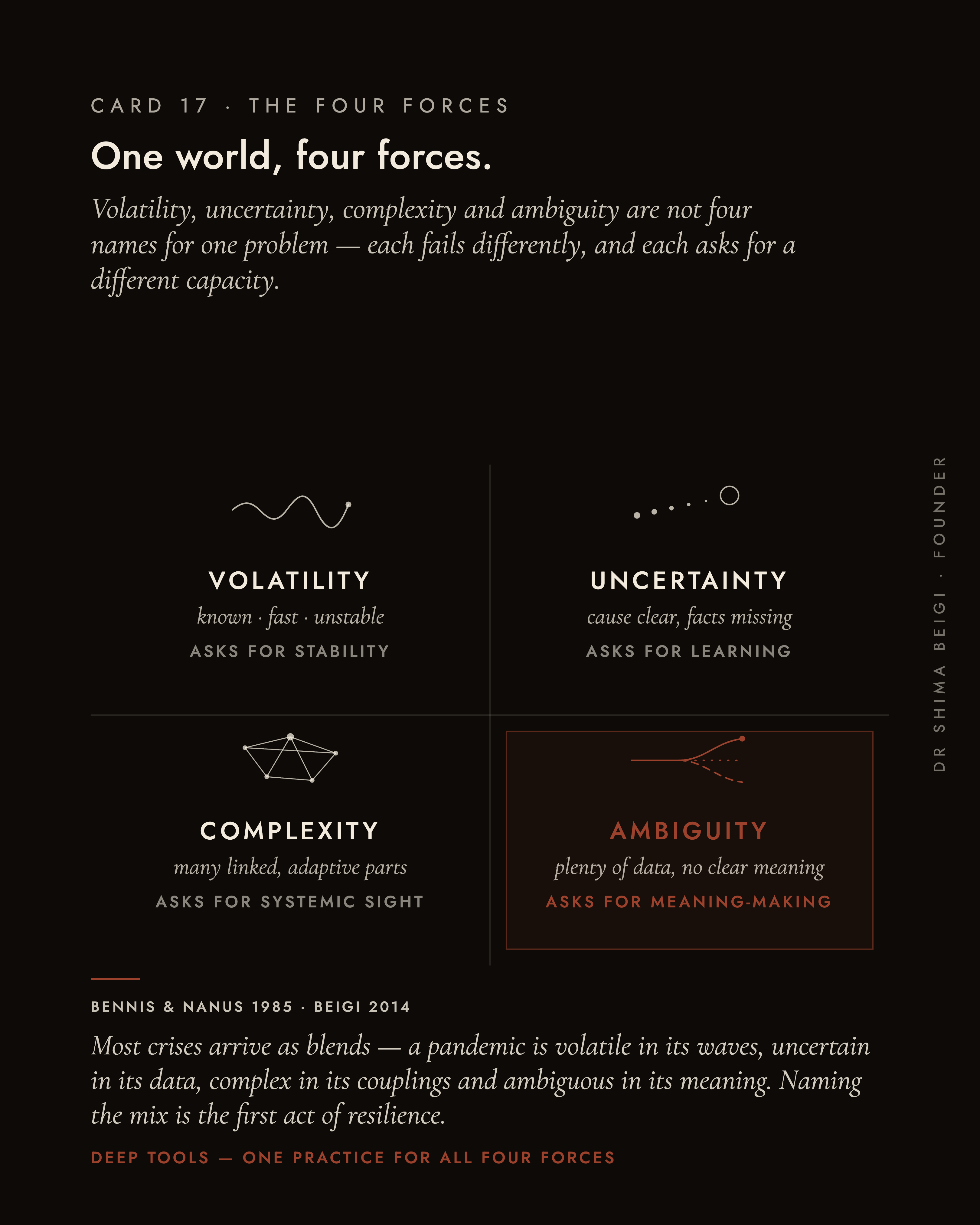 Page 17: The VUCA Mosaic