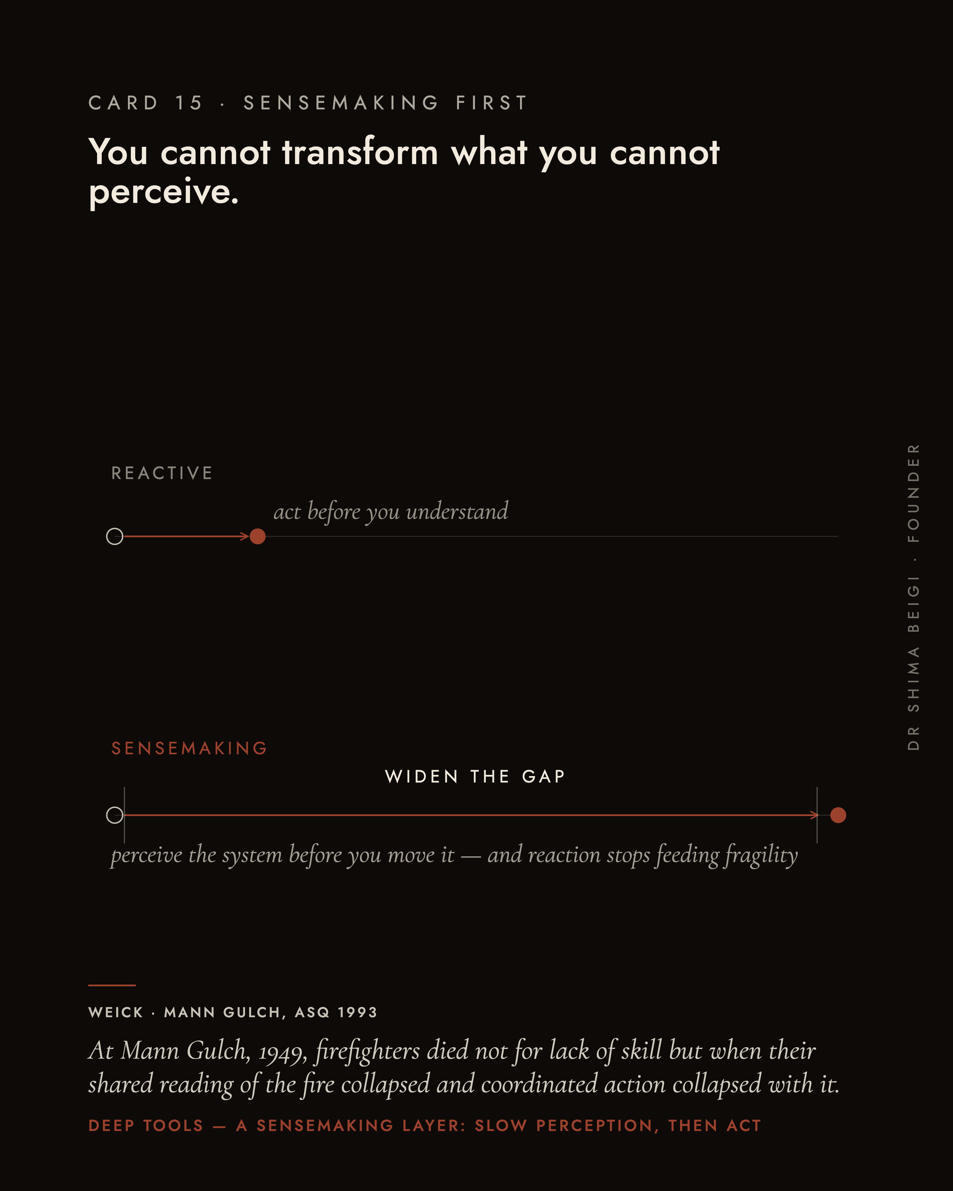 Page 15: Sensemaking First